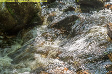 waterfall closeup